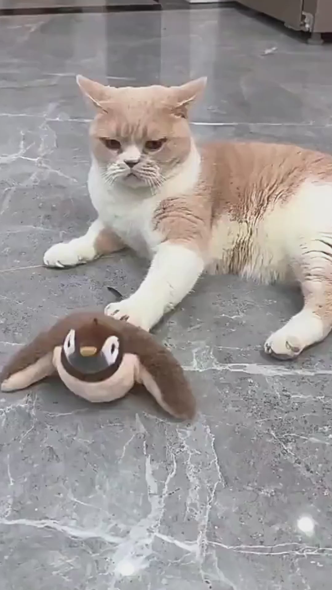 Peluche Eléctrico para Gatos